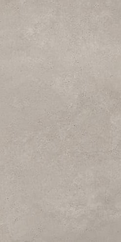 Купить Tagina Concreta Grigio Chiaro Nat Ret 60x120 