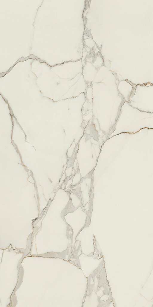 Купить Ava Marmo E Pietra Calacatta Oro Lapp Rett 60x120 