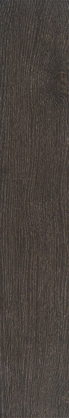 Купить Pamesa Landes Bronce Mat. 20x120 