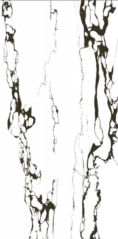 Купить Anka Royal Polished 60x120 