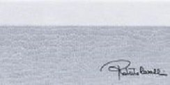 Купить Roberto Cavalli Tanduk Alzata Ocean Blu Firma 10x19,8 
