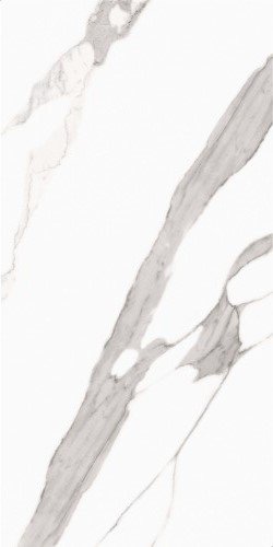 Купить Neodom Splendida Statuario 60x120 