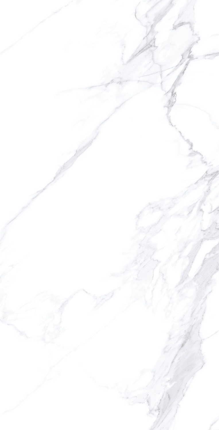 Купить Museum Calacatta Extra White P 100x180 