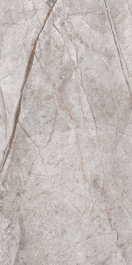 Купить Neodom Stone&More Imperial Grey Carving  60×120 