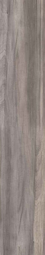 Купить ABK Dolphin Grey Rett. 20х120 