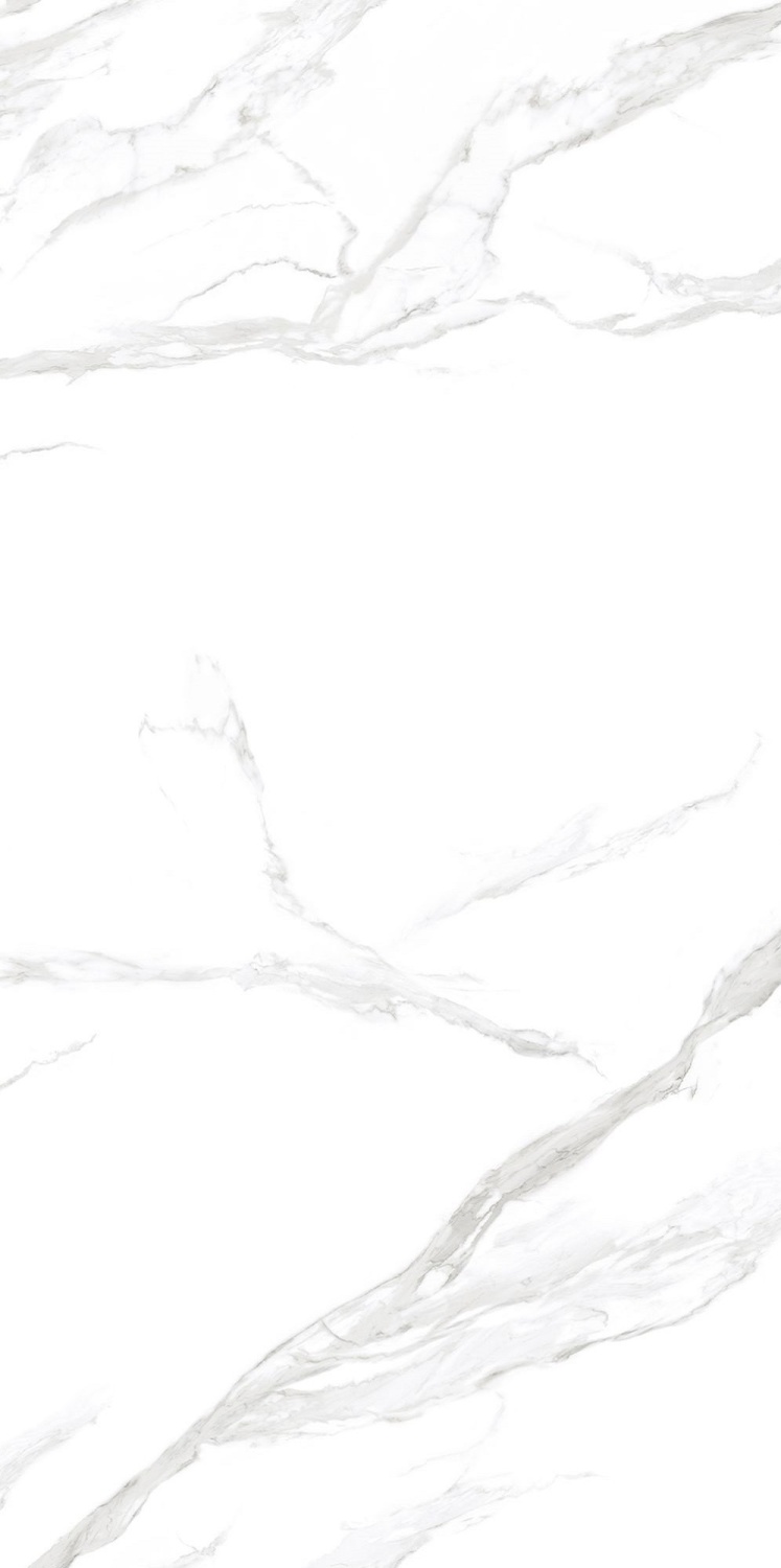 Купить NT Ceramic Atlas Wide Statuario Mat  120×240 