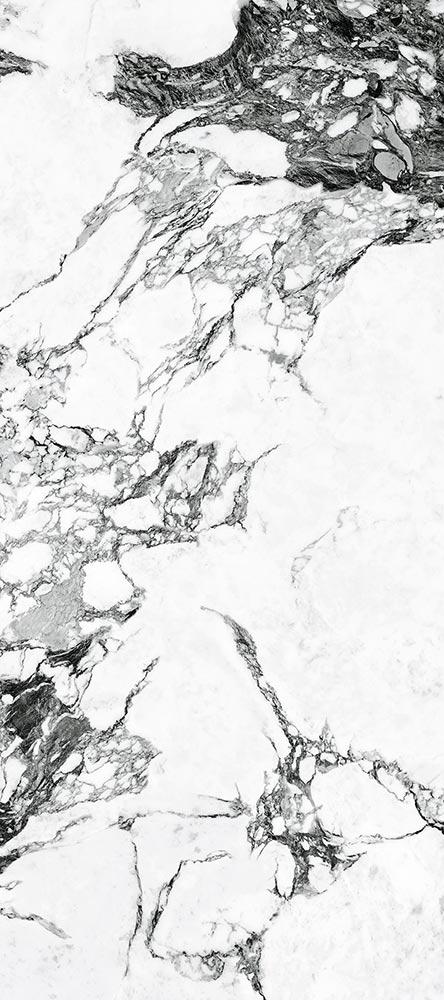 Купить Vives Marblelous Arue-R Pulido 79,3x179,3 