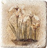 Купить Cir&Serenissima Marble Style Inserto S3 Travertino 2 10х10 