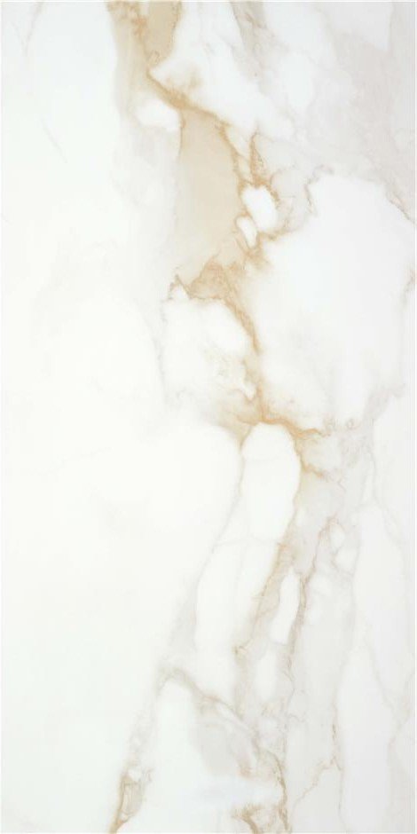 Купить Stylnul (STN) Camile P.E. Gold Sat Rect  60×120 
