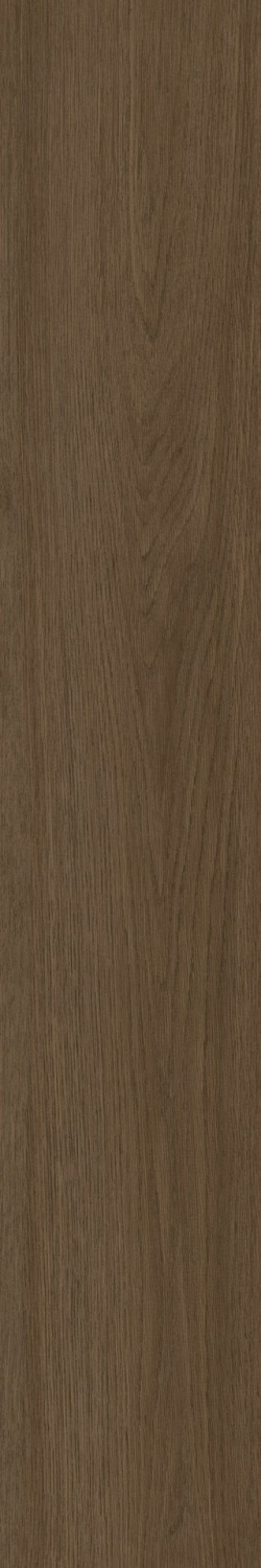 Купить Cifre Ceramica Belfast Wallnut 20x120 
