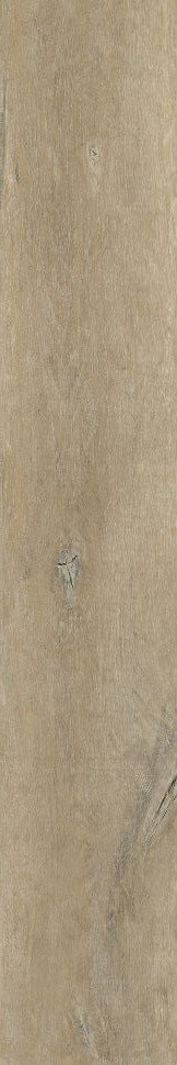 Купить Peronda Lenk Taupe AS C/R 19,5x121,5 
