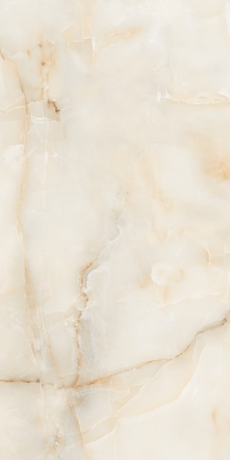 Купить Neodom Onix One Onyx Marfil Polished 60x120 