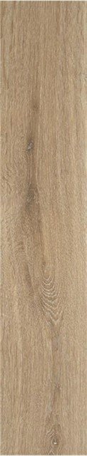 Купить Stylnul (STN) Articwood Camel Rect 22,7x119,5 