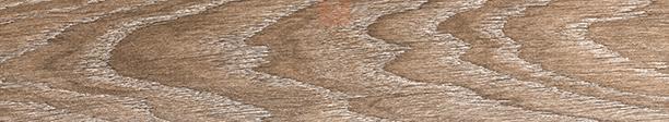 Купить Monopole Line Oak 8х44 