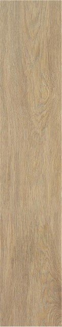 Купить STN Tacora Camel Mt Rect 22,7x119,5 