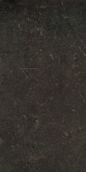 Купить Rex Espirit De Rex Neutral Brun 6mm 120x240 