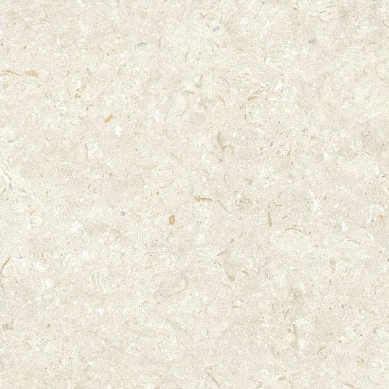 Купить Grespania Fosil Bone 60x60 