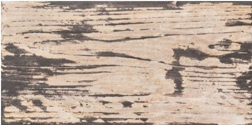 Купить Mainzu Legno Natural 10х20 