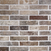 Купить RHS Multicolor Brick 6х25 