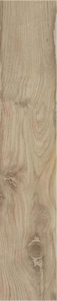 Купить Stylnul (STN) Vertige Beige Mix MT 23x120 