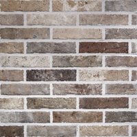 Купить RHS Multicolor Brick 6х25 