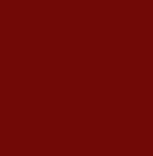 Купить TopCer Richmond Green Brick-Red L4420-1Ch Loose 10х10 