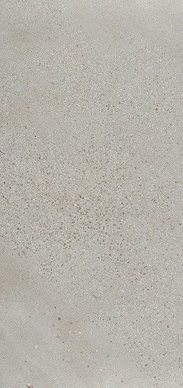 Купить Fioranese I Cocci Cenere nat 60х120 