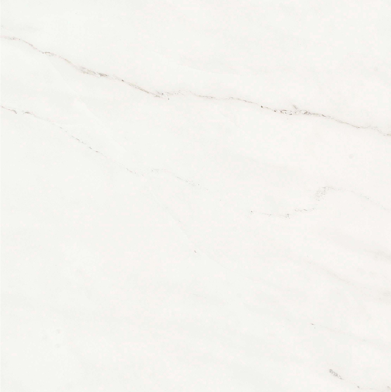 Купить Gani Marble Calacatta 60x60 