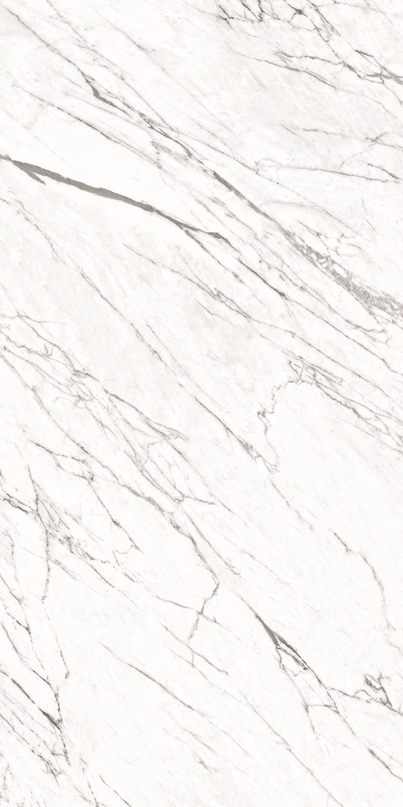 Купить Roca Statuario ST 100x200 