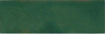 Купить Wow BejMat Olive Gloss 5х15 