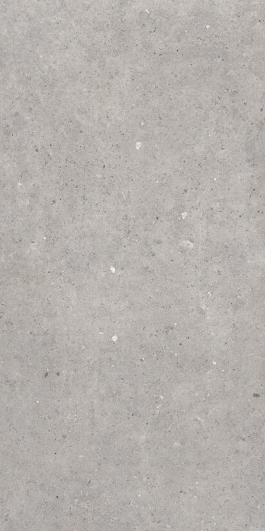 Купить Sanchis Cement Stone Grey  60×120 