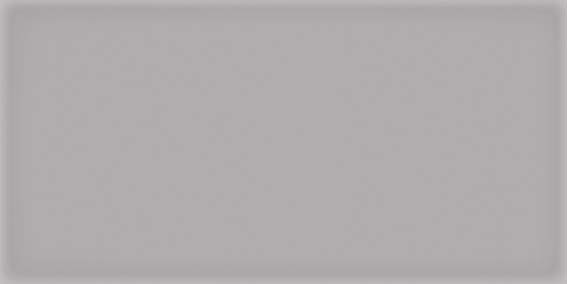 Купить Vives Corso Gris 10х20 
