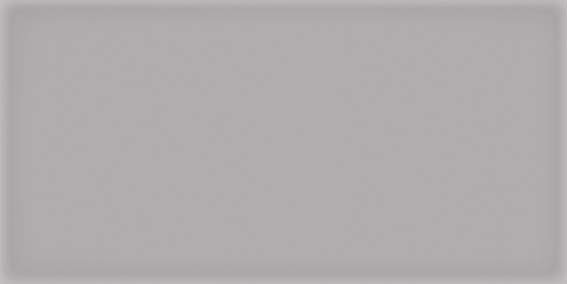 Купить Vives Corso Gris 10х20 