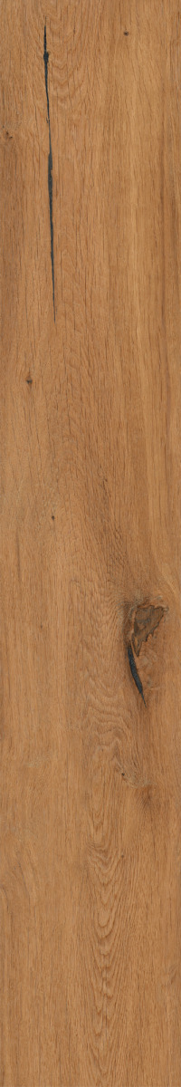 Купить Caesar Arthis Natur RT 20x120 