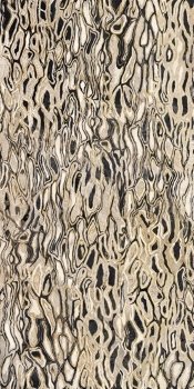 Купить Imola The Room Ghepard6 260 LP 120x260 
