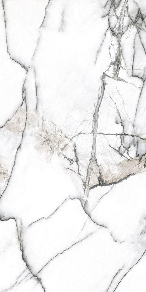 Купить Museum Premiere White SP R  60×120 