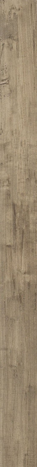 Купить Ragno Woodstyle Acero R36H 10х120 