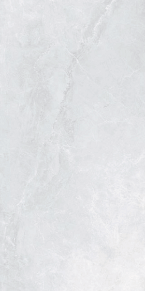 Купить Emigres Pav. Silky-Pul Blanco 59x119 
