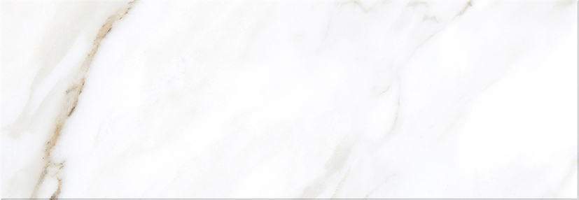 Купить Eletto Ceramica Calacatta Light 24,2x70 