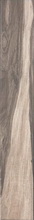 Купить Serenissima & Cir Seasons Fall 15x60,8 