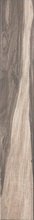 Купить Serenissima & Cir Seasons Fall 15x60,8 