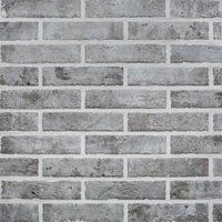 Купить RHS Grey Brick 6х25 
