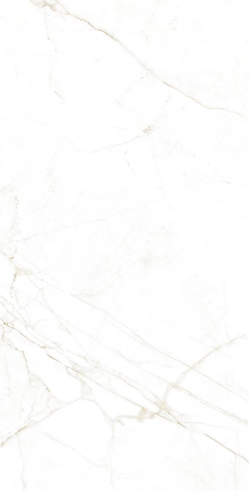 Купить Museum Dual White Nt R 75,5x151 
