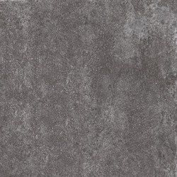 Купить Naxos Living Rock Pav.Charcoal 60х60 