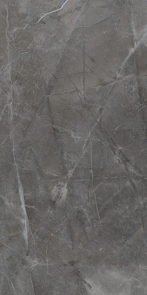 Купить Bien Turin Grey Rec Full Lap 60x120 