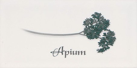 Купить Ape Metro Decor Blanco Apium 10х20 