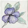 Купить Bayker Memorie Jardin Viola 10x10 