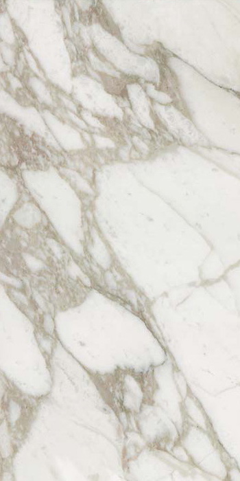 Купить Rex Ceramiche I Bianchi di Rex Calacatta 6 mm Luc Ret 60x120 