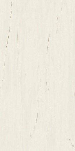 Купить Atlas Concorde Marvel Stone Bianco Dolomite Lapp 60х120 