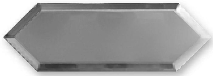 Купить Monopole Cupidon Silver/Plata Bisel 10x30 